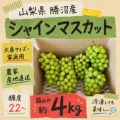 山梨県勝沼産 シャインマスカット 箱込み約4kg 家庭用 農家直送のサムネイル