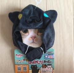 ねこあつめのサムネイル