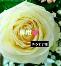 【itm&ssk❤】⭐️エイボン化粧品⭐️オイルクレンジング5本セット 新品❤箱未開封❤再入荷❗️】⭐️エイボン化粧品⭐️オイル