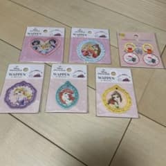 ディズニープリンセス ワッペン うわぐつタグ