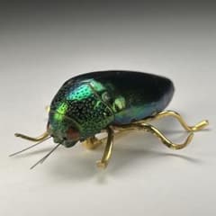 虫のブローチ アクセサリー 緑 かわいい コガネムシ 黄金虫 - メルカリ