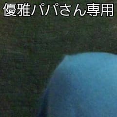 優雅パパさん専用のサムネイル