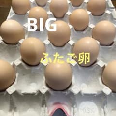 BIGふたご卵50個※Eのサムネイル