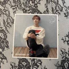 SEVENTEEN☆舞い落ちる花びら エントリーカード ドギョム - メルカリ