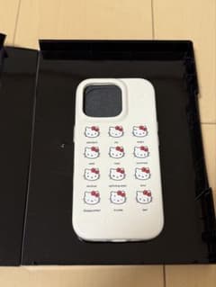 urban sophistication 헬로키티 iPhone16pro