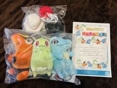 当選品】Pokémon LEGENDS Z-A主人公帽子付き 御三家ぬいぐるみ - メルカリ