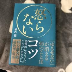 怒らないコツ 「ゆるせない」が消える95のことば/植西 聰のサムネイル