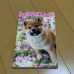 天国の犬ものがたりのサムネイル