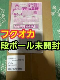 新品未開封】ポケモンセンターフクオカ スペシャルBOX ダンボール未