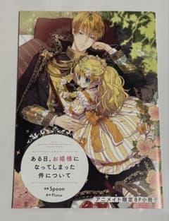 ある日、お姫様になってしまった件について アニメイト限定特典8P