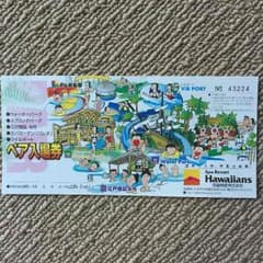スパリゾートハワイアンズ  ペア入場券のサムネイル