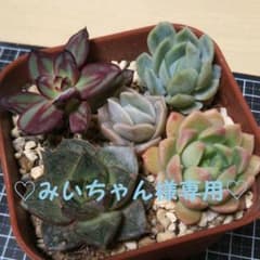 みいちゃん様専用♡　5点セット&お星様&チョコライン✿❀*のサムネイル