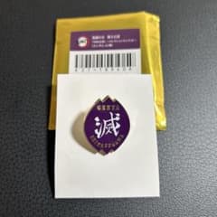 鬼滅の刃 コラボカフェ 隊士百景 不死川玄弥 コレクションピンズ 未開封 10個 鬼滅の刃 隊士百景 不死川玄弥 コレクションピンズ - メルカリ