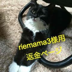 riemama3用返金ページのサムネイル