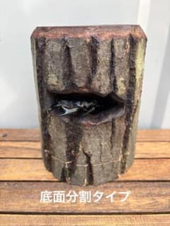 クワリウム、クワガタ隠れ家、クワ小屋、樹洞、うろ、クワガタ登り木のサムネイル
