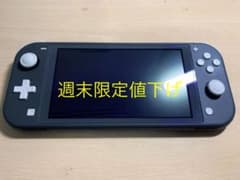 NINTENDO SWITCH LITE グレーのサムネイル
