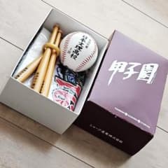 高校野球　野球記念グッズ　優勝・準優勝記念ボール 日大三高 準優勝記念 メンバー名入り丸型キーホルダ ー 107回 | SHOP