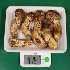 みかん様専用　岩手県産松茸　送料込みのサムネイル