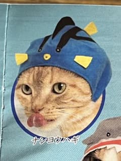 ねこの水族館　ナンヨウハギ　ガチャのサムネイル