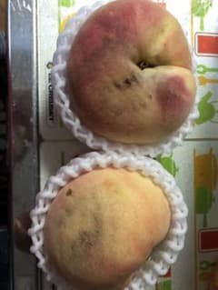 確認用のサムネイル