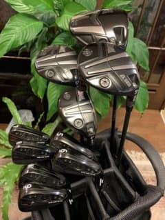 最高峰憧れの　PXG 0311 GEN6　10本SET美品　キャディーバッグ付 超美品最高級 PXG GEN6 10本SET キャディースタンドバッグ付 - メルカリ