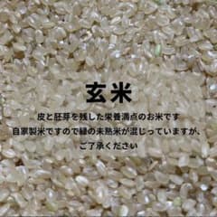 おいしい玄米10キロ】無農薬無化学肥料栽培 はざ掛け コシヒカリ 