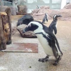 M   様専用のサムネイル