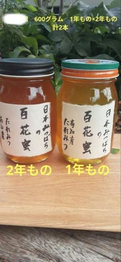 日本ミツバチ 蜂蜜 令和6年 採れたて 600g×2本 たれ蜜 非加熱　百花蜜 日本ミツバチ 蜂蜜 令和7年 採れたて 600g×2本 味比べ たれ蜜 非加熱