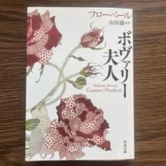 ボヴァリー夫人 文庫版のサムネイル