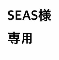 〖SEAS様専用〗ワイヤレスホリコン＆塗装済みシェルのサムネイル