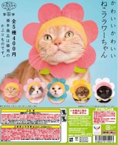 ねこのかぶりもの♡フラワー♡のサムネイル