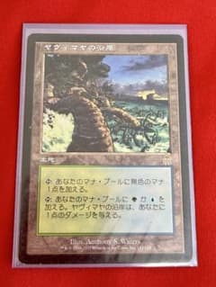 MTG ヤヴィマヤの沿岸 日本語 マジクザギャザリング - メルカリ