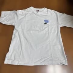 BEN DAVIS Tシャツ Mのサムネイル