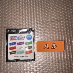 ハル 名札バッジ フジテレビのサムネイル