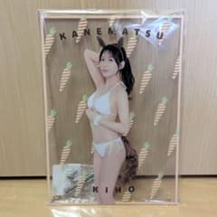 금송 계보 FANZA 온라인 복권 아크릴 패널
