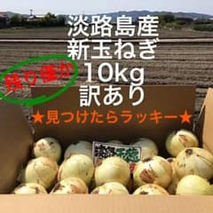 ★見つけたらラッキー★ 5月9日まで大特価　淡路島産　新玉ねぎ　訳あり1 0kgのサムネイル