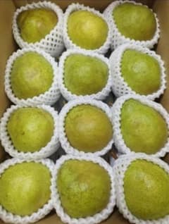 山形県産 ラ・フランス 家庭用2.5kg 9~12玉のサムネイル