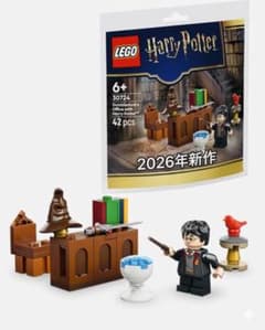 LEGO 30724 덤블도어의 교장실 with 해리 포터