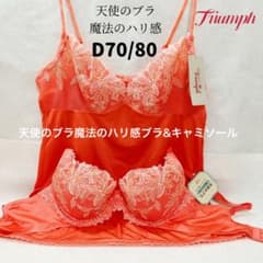 【お取引女性のみ】最高級品！トレフル 赤 D70&amp;ノーマルショーツM♪新品未使用 dショッピング |トリンプ Triumph TR0088 プレミアムデザイン レッド