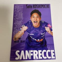 サンフレッチェ広島のサムネイル