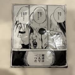 m91075212356_1.jpg?1750169852