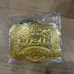 RIZIN 이치 반 쿠지 D상 챔피언 벨트 메탈 매력 페더급