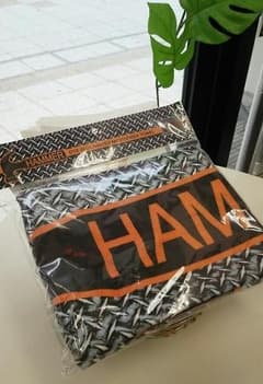 ◎新品◎HAMMER マイクロファイバータオル①のサムネイル