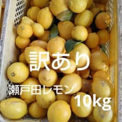 訳あり 瀬戸田レモン 10kg - メルカリ