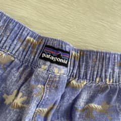 Patagonia 水着のサムネイル