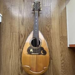 Suzuki Violin Co. Ltd. マンドリン 本体 ハードケース付 - メルカリ