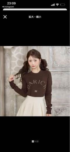 Darich ブラウン　セーター 公式品 美品のサムネイル