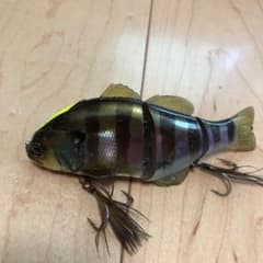 チビタレル ジャッカルのサムネイル
