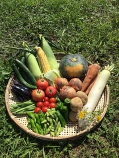 北海道産　農薬不使用　おまかせ　野菜セットのサムネイル