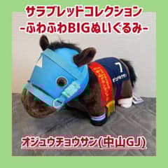 オジュウチョウサン 中山GJ サラコレ ふわふわBIG ぬいぐるみ